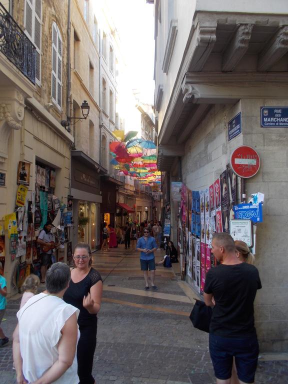 Studio Avignon Centre Le Saint Pierre المظهر الخارجي الصورة